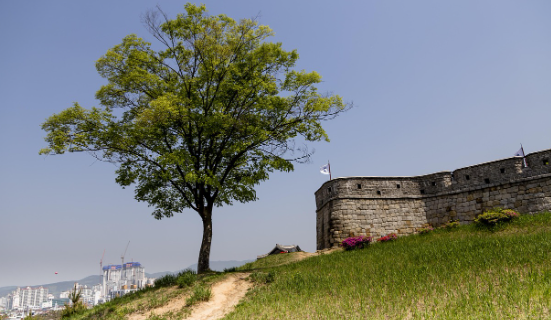 문화 기술 발전과 저작권 윤리, 창작자 권리를 지키는 방법