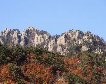 설악산 단풍, 절정 시기_5