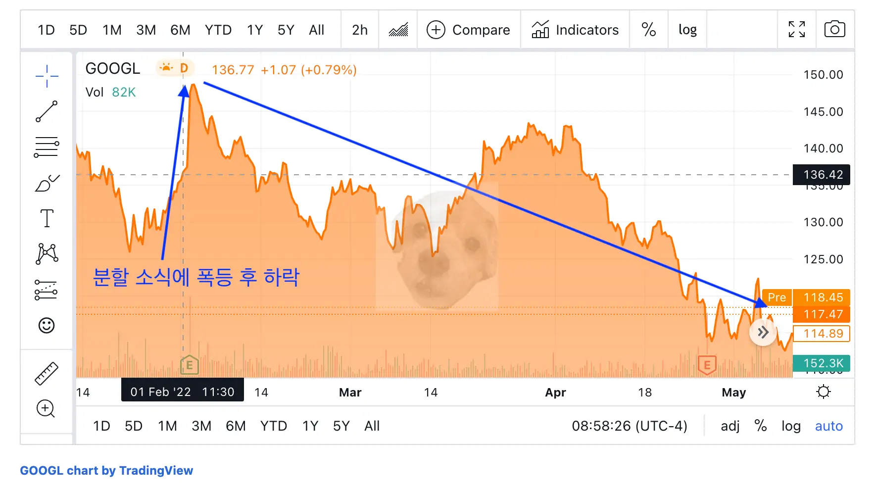 구글 20:1 주식분할 후 차트 모습