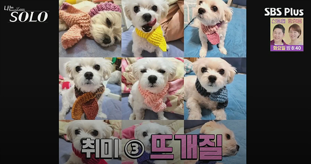나는솔로 25기 여자 직업 나이 영숙, 순자, 영자, 옥순, 현숙, 미경 직업 나이 자기소개