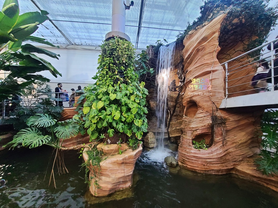 경주 동궁원 식물원 스카이워크 경주 가볼만한곳