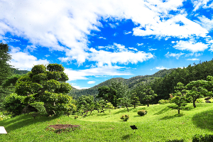 아침고요수목원