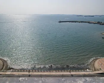 남당항 새조개 축제_18