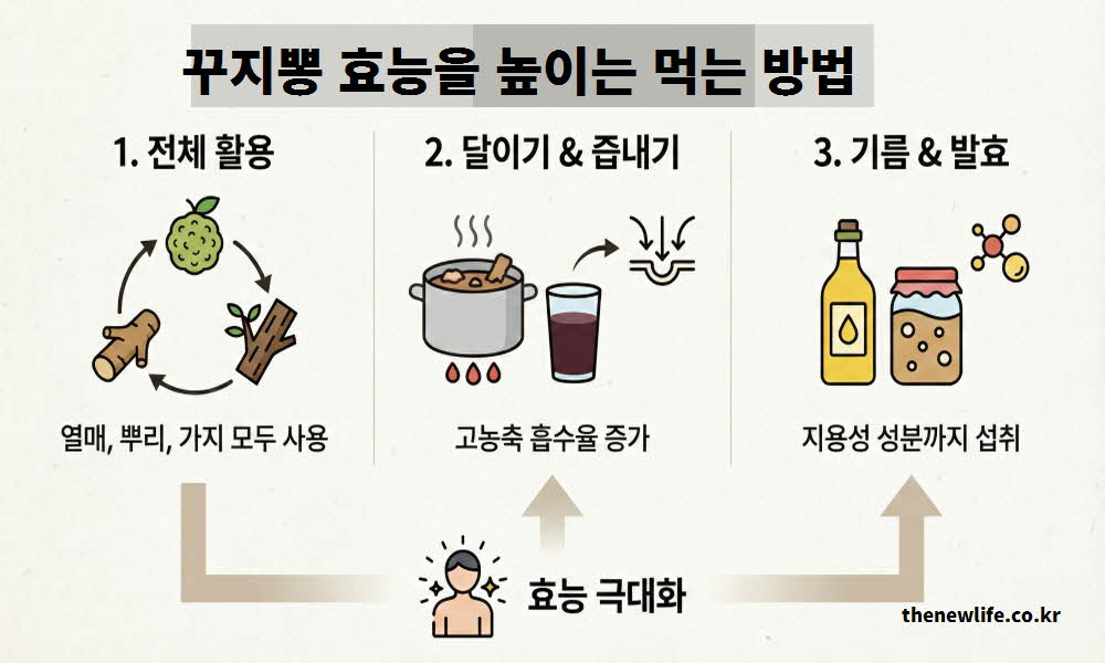 꾸지뽕 효능 높이는 먹는 방법