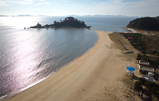 자월도 배시간표