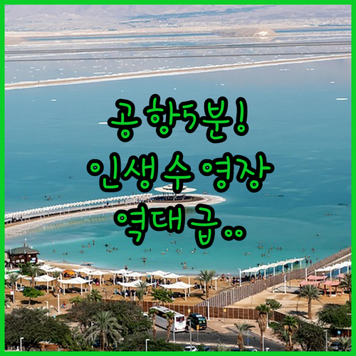 공항 5분 거리부터 루프탑 수영장까지..