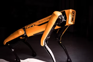 딥시크 ai 다운로드 뜻 논란