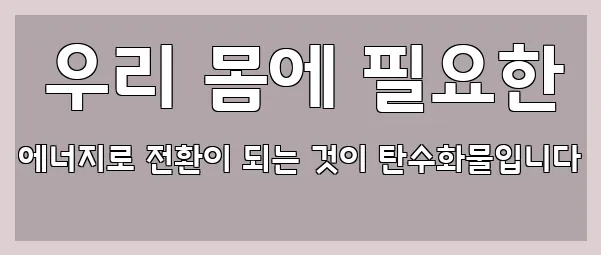  우리 몸에 필요한 에너지로 전환이 되는 것이 탄수화물입니다