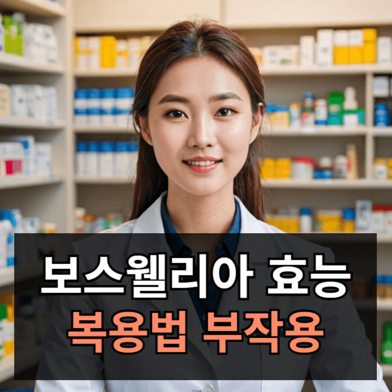 보스웰리아 효능 먹는법 부작용 총정리