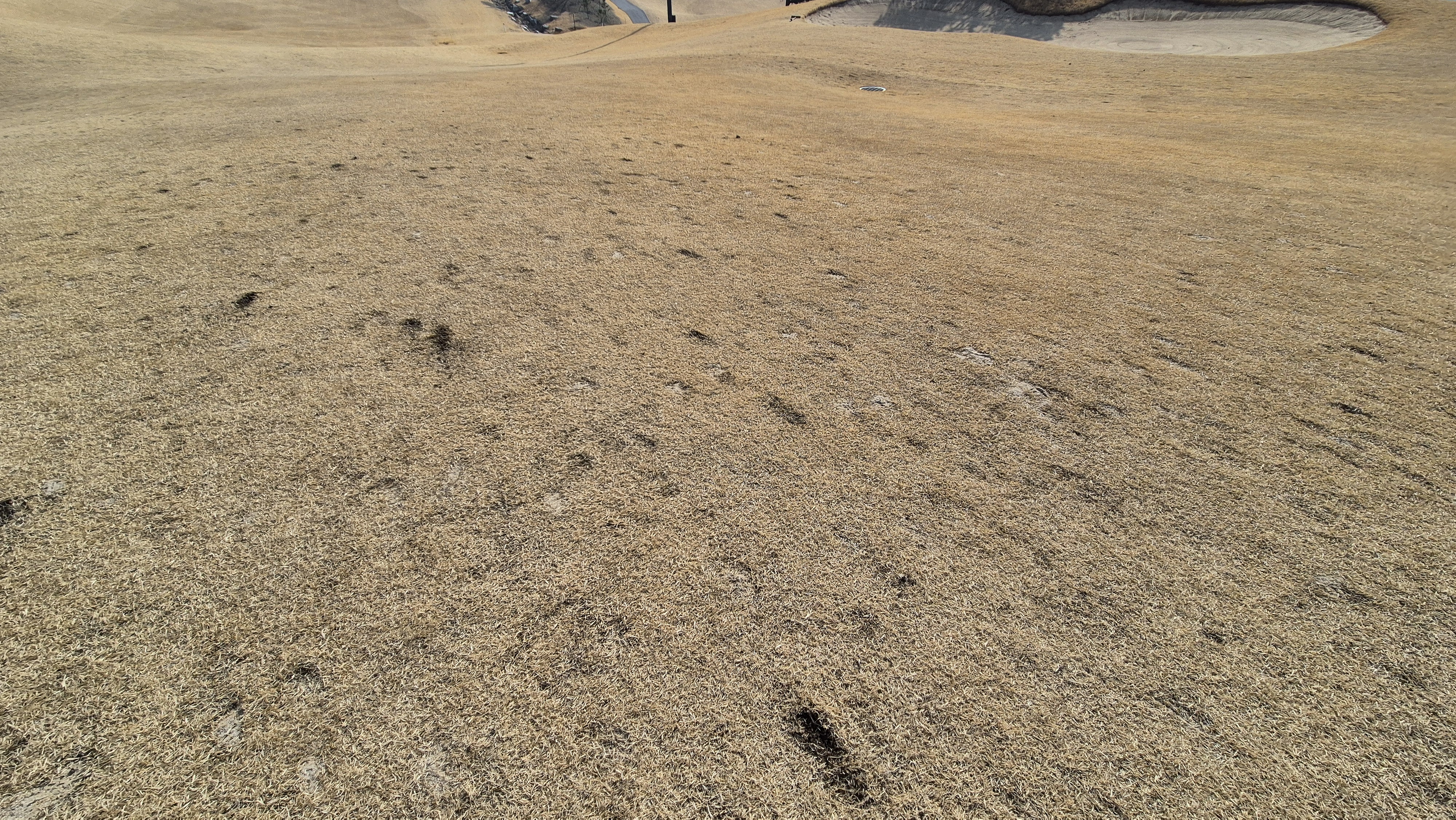 이글몬트cc 히든-이글 코스 라운드 후기