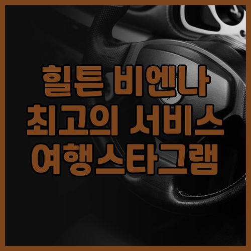 힐튼 비엔나 숙박 후기 최고의 서비스..