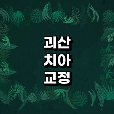 괴산군 교정 치과