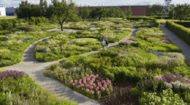 고양 국제꽃박람회 입장료 할인 사전예매 바로가기