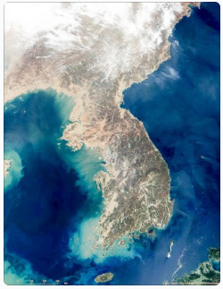 한국의 예언가 탄허스님의 미래 예언