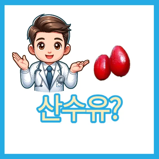 "봄철 에너지 산수유"