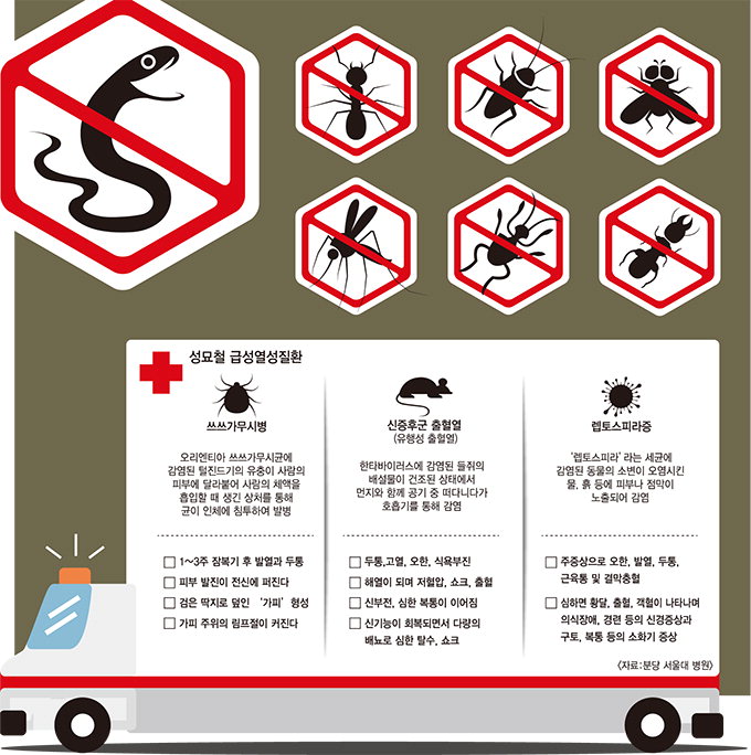 벌레물려가려울때대처방법2