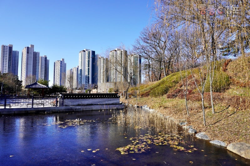 김포 반려견 겨울 나들이 명소, 강아지와 함께 산책하기 좋은 곳 추천