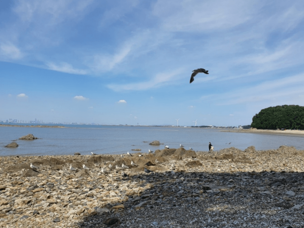 구봉솔숲 해수욕장 (안산시)