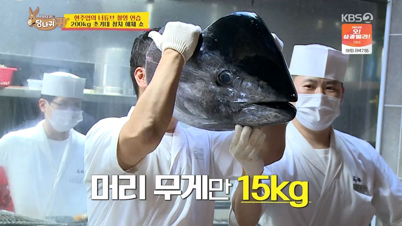 참치 머리