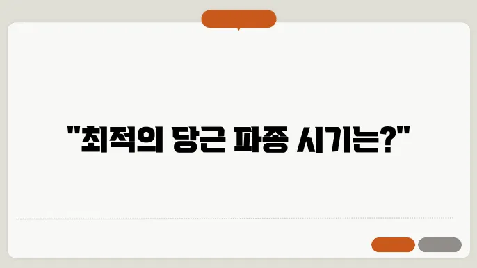 당근 파종 시기