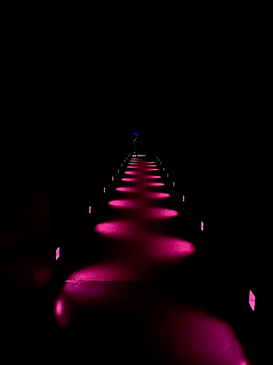 일본 도쿄 팀랩 플래닛 여행-생명은 결정화된 덧없는 빛