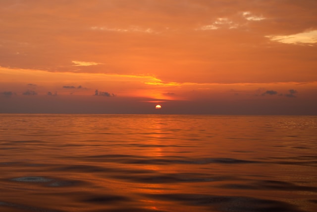 바램과 바람 그리고 설레임과 설렘의 올바른 맞춤법 차이를 설명하는 바른 언어 생활 가이드 이미지