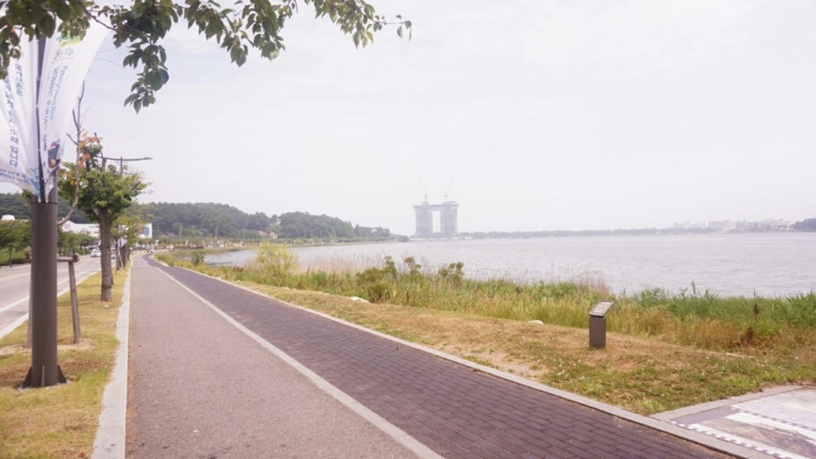 반려견과 가기 좋은 여행지 BEST10｜강아지와 편하게 떠나는 전국 여행지 추천 관련 사진