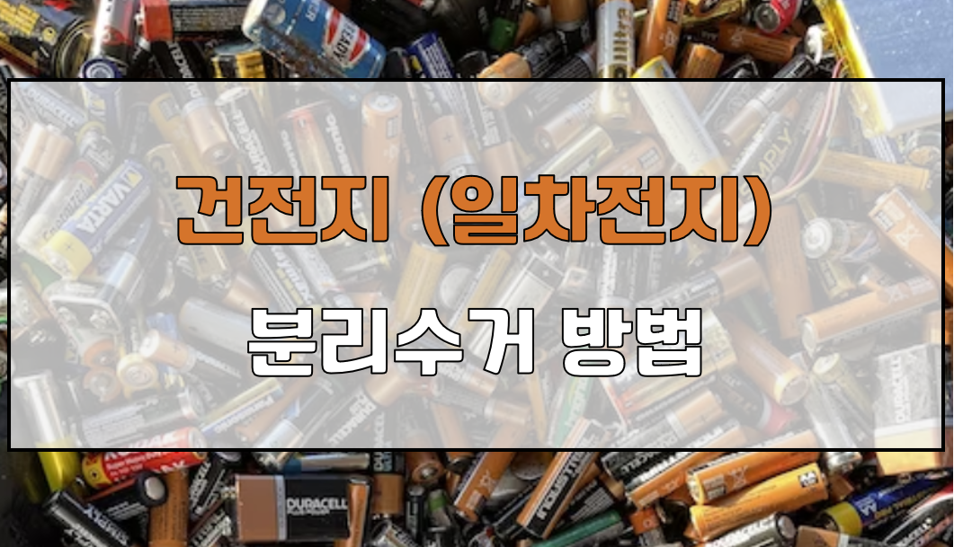 충전식 건전지