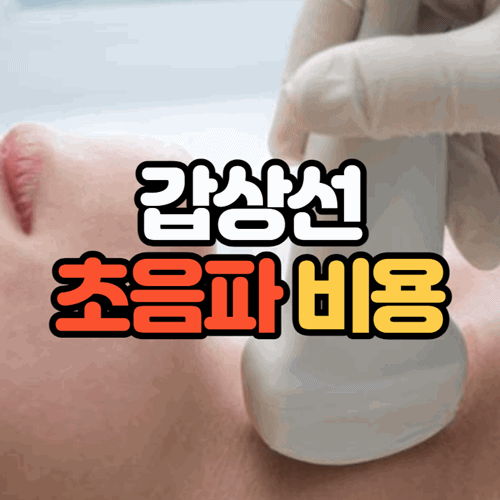 갑상선 초음파 비용