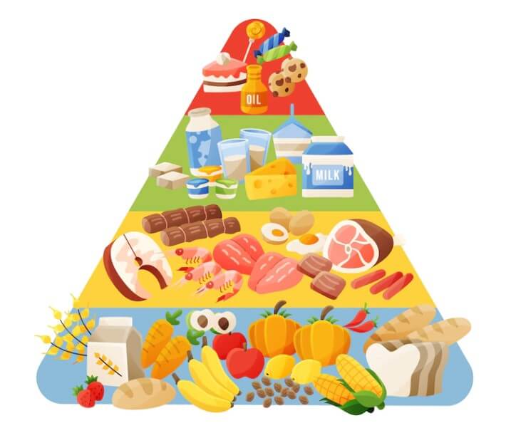 다이어트단백질섭취
다이어트단백질