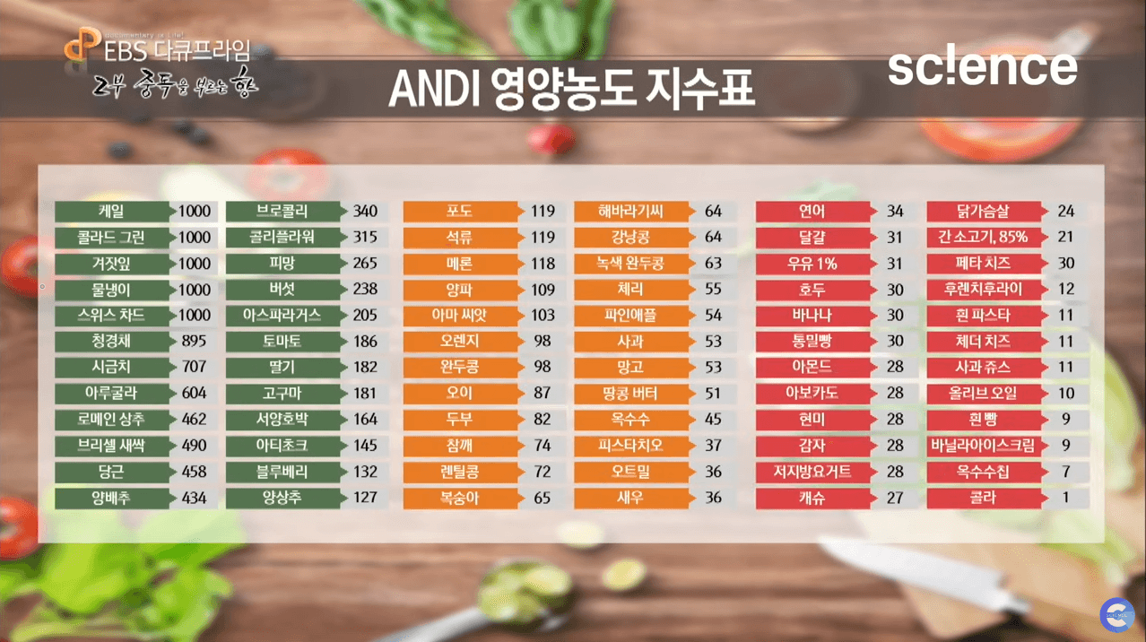 ANDI 영양농도 지수표
