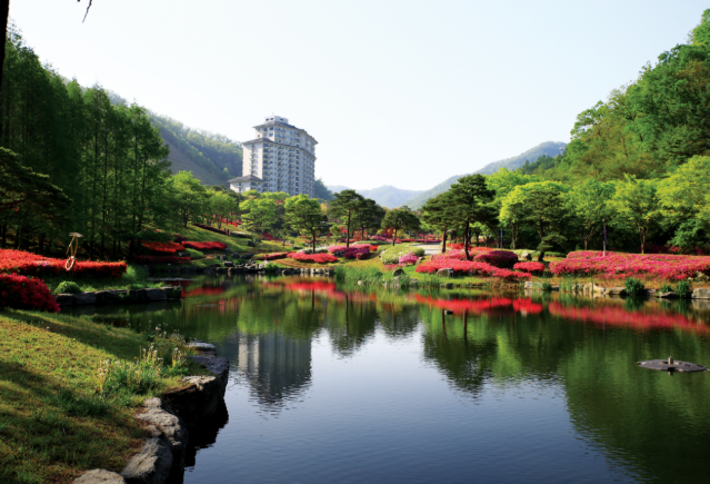 엘리시안 강촌 이미지