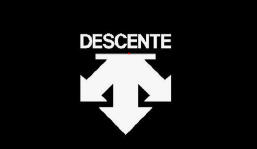 일본의 스포츠 의류 전문 기업 데상트