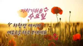 기분 좋은 아침 인사말 문구 이미지 모음들_22