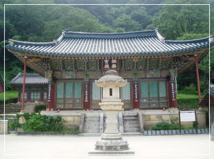 속초 가볼만한곳 베스트10 신흥사 &amp; 통일대불