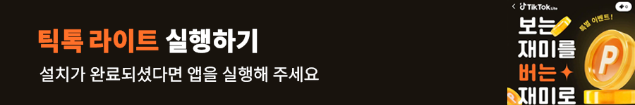 틱톡 라이트 앱테크