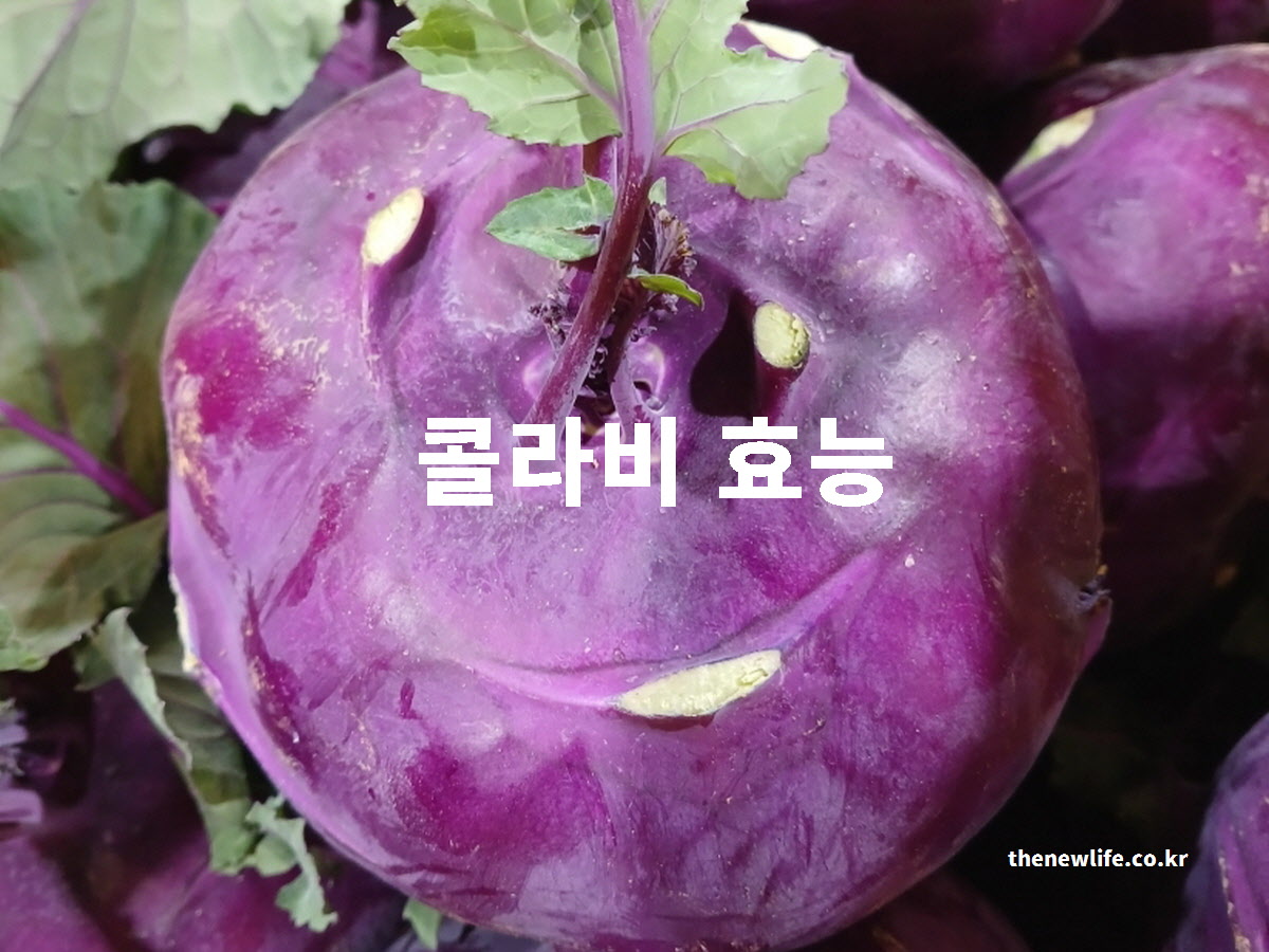 콜라비 효능 실사진