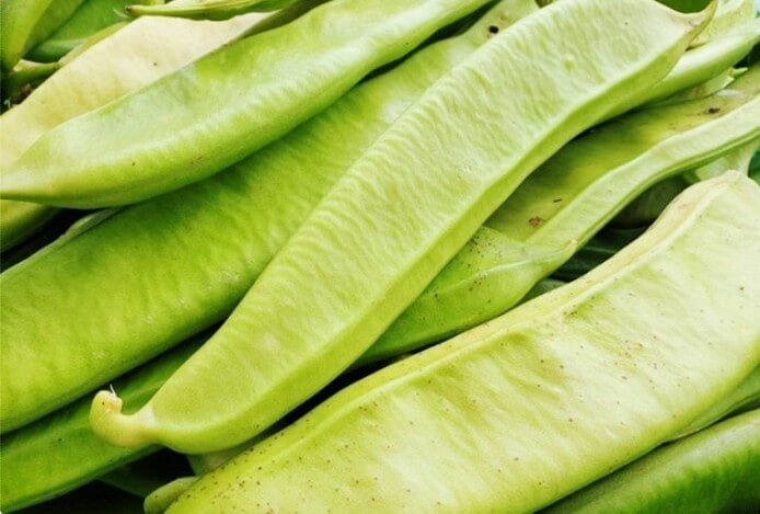작두콩차 효능 10가지 및 부작용과 먹는 법&amp;#44; 작두콩차 만드는 법