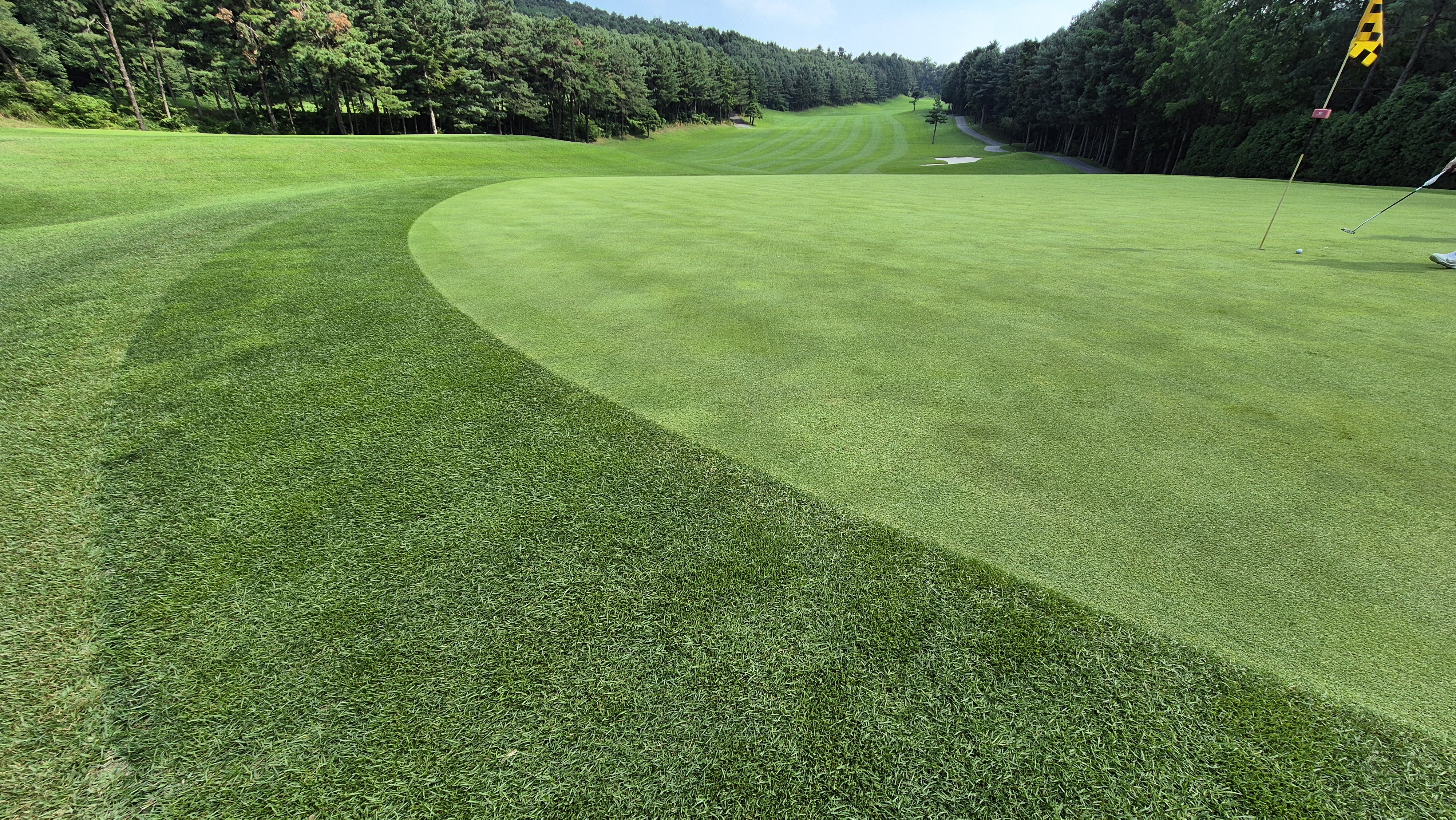 한성cc 오렌지-그린 코스 라운드 후기