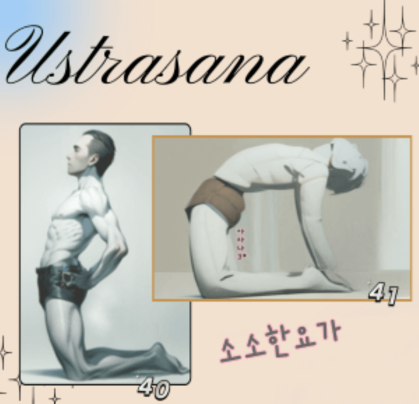 우스트라아사나