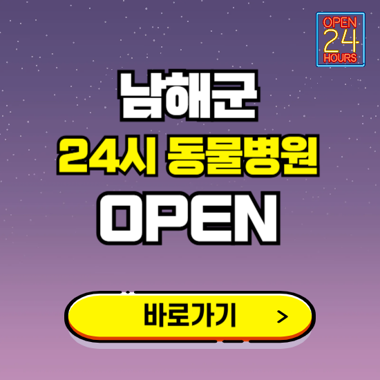 남해군 24시 동물병원 진료하는 곳 ❘ 설날 휴일 야간 심야 문여는곳 찾기 ❘ 응급진료