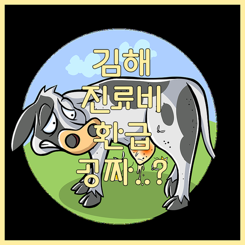 김해시 반려동물 진료비 환급 신청 절..