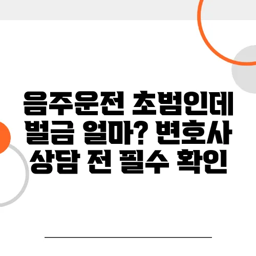 음주운전 초범인데 벌금 얼마? 변호사 상담 전 필수 확인