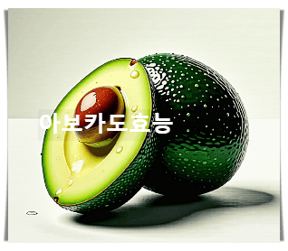 아보카도 10