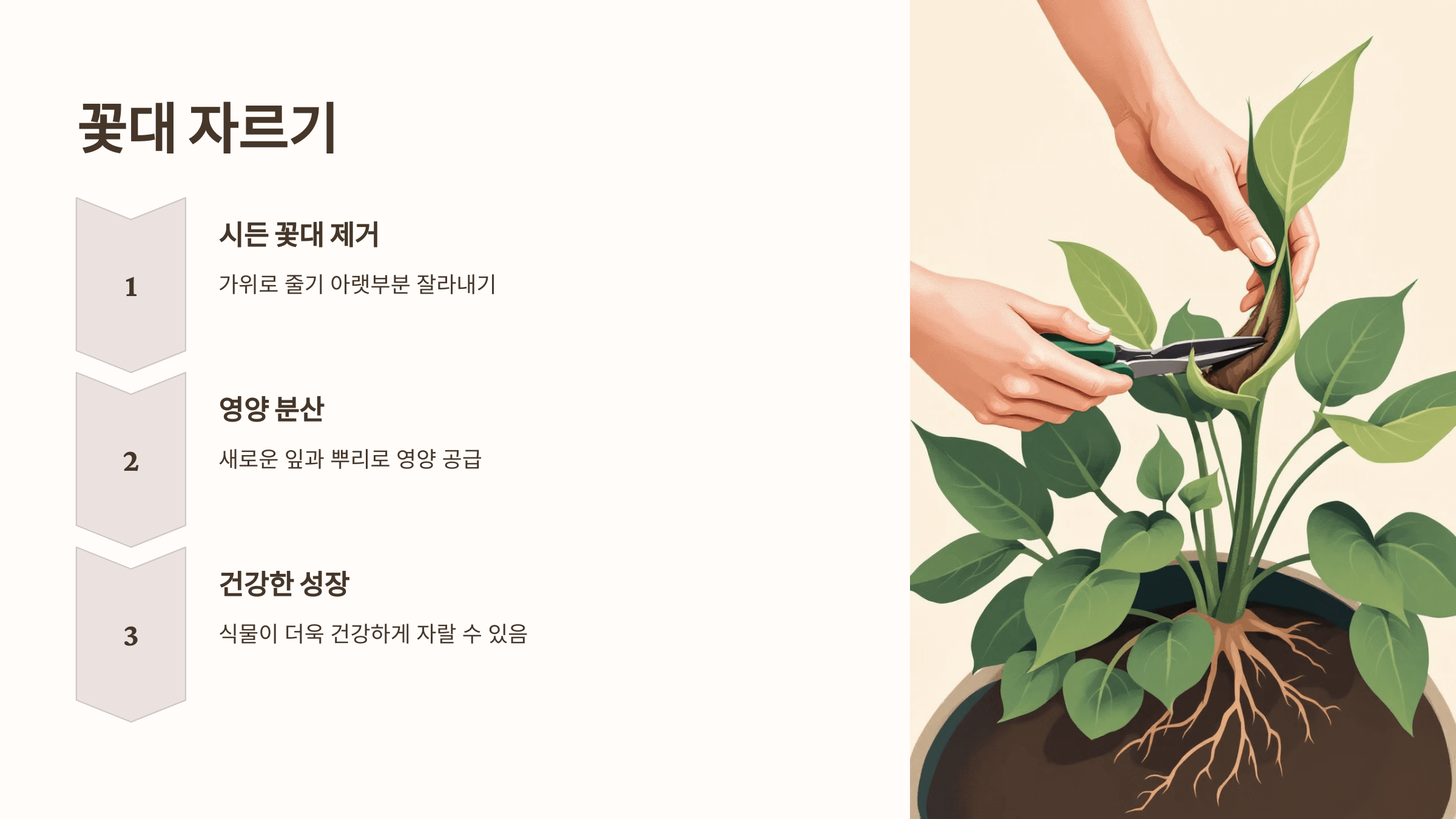 스파티필름과 관련된 사진입니다.