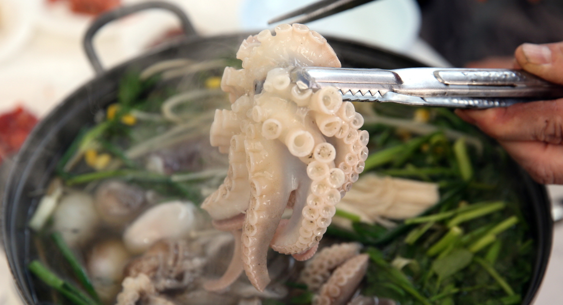 서천 동백꽃 주꾸미 축제