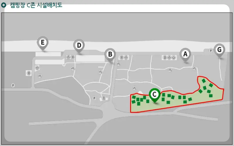연곡 솔향기 캠핑장 c 구역