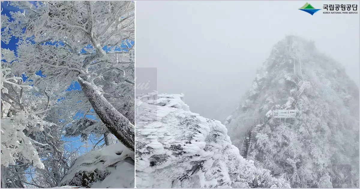 덕유산 설경