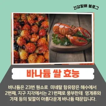 바나듐쌀 효능과 당뇨에 좋은 이유 과학적으로 분석_23