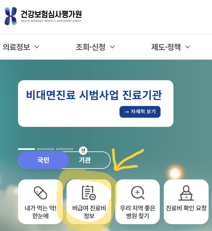대상포진 접종비용 최저가 병원 찾는 방법